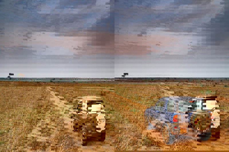 The interior and tools