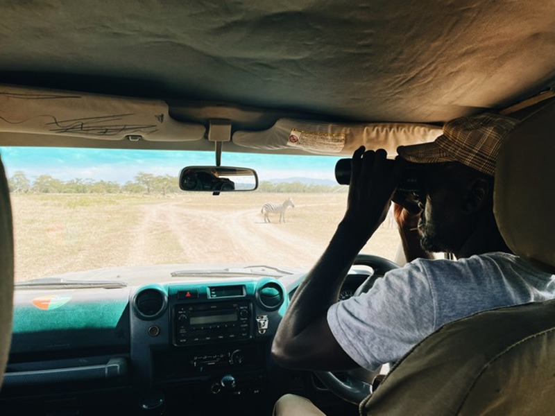 Wie kann ich einen privaten Fahrer in Kenia mieten?