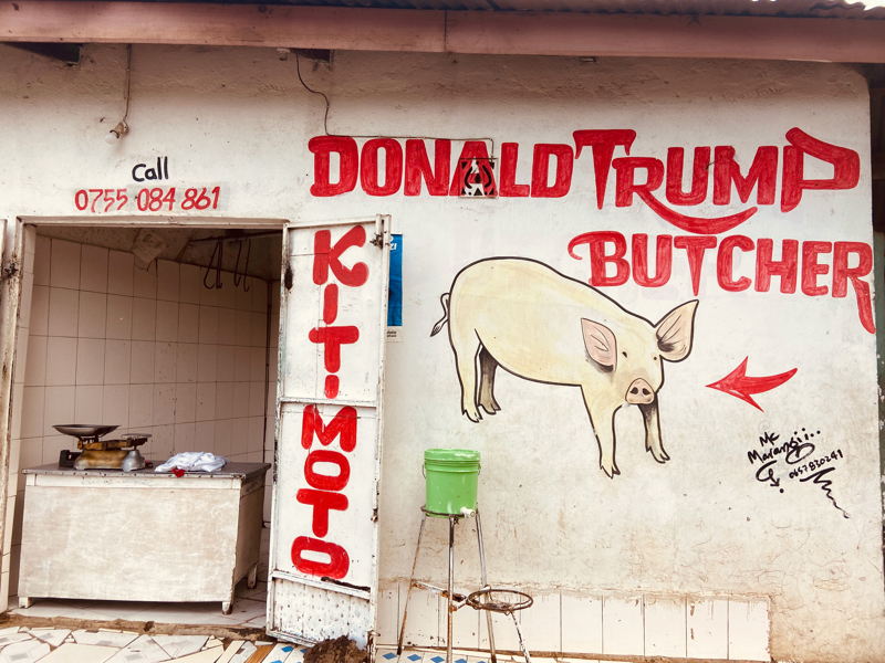 Quel est le coût d’un voyage en Tanzanie ? Un aperçu pratique