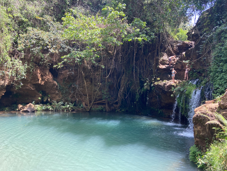 The waterfalls at ngare ndare forest