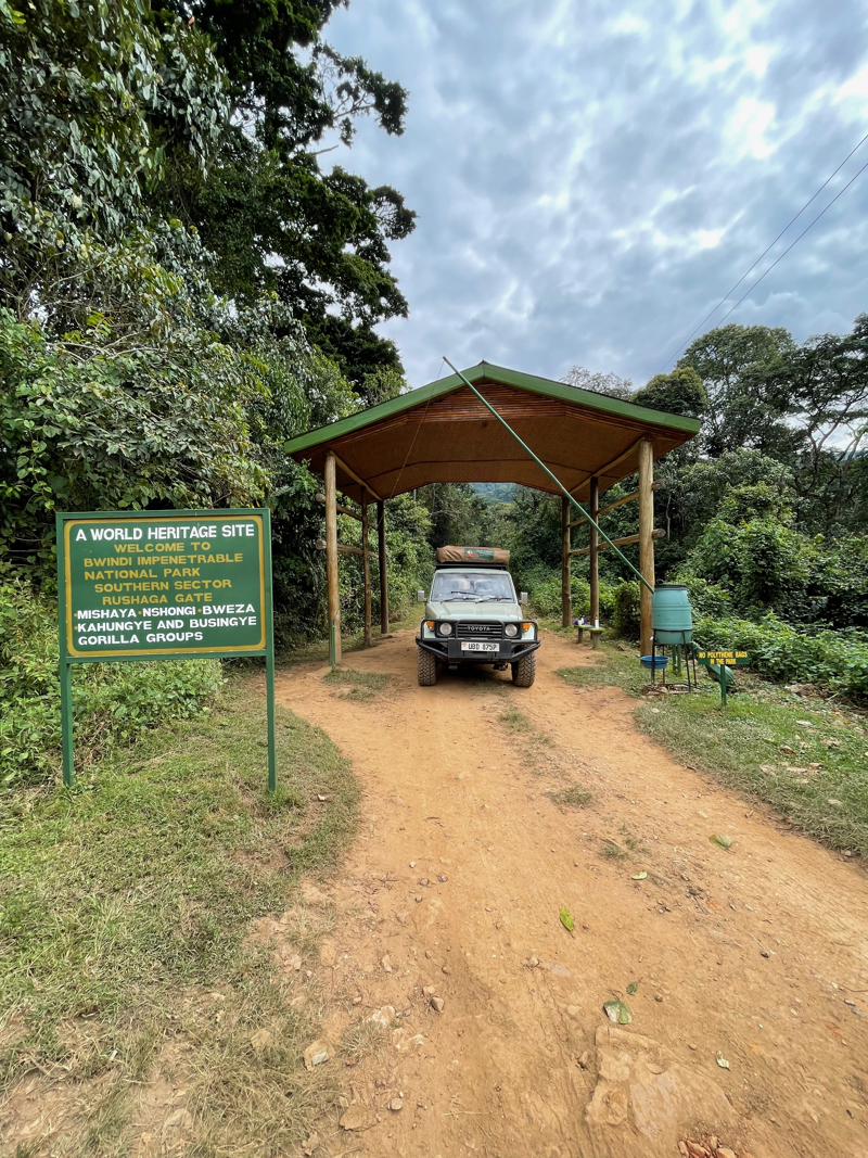 What's a day of gorilla hiking like?