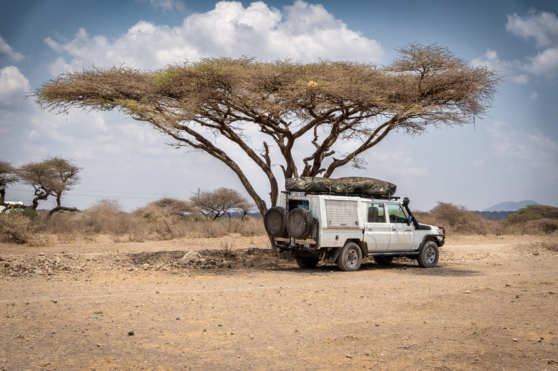Wat zijn de toegangsprijzen voor nationale parken in Tanzania?