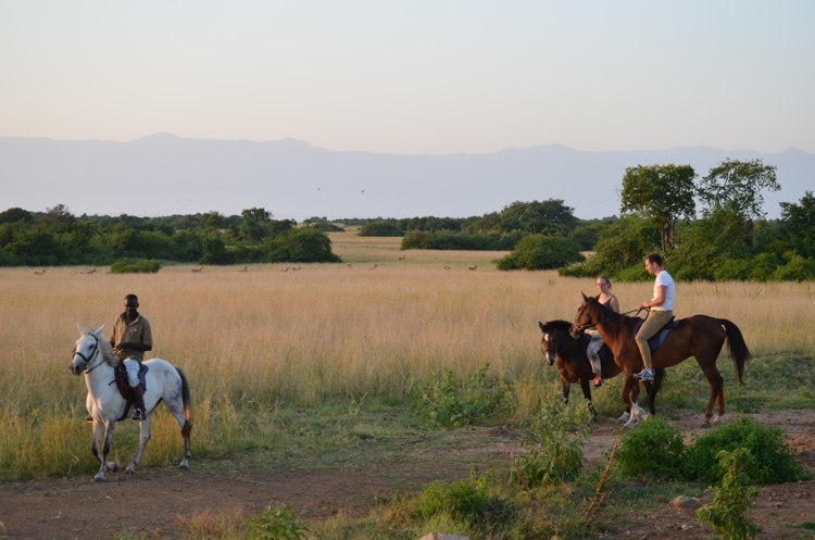 Horseback riding Lake Mburo