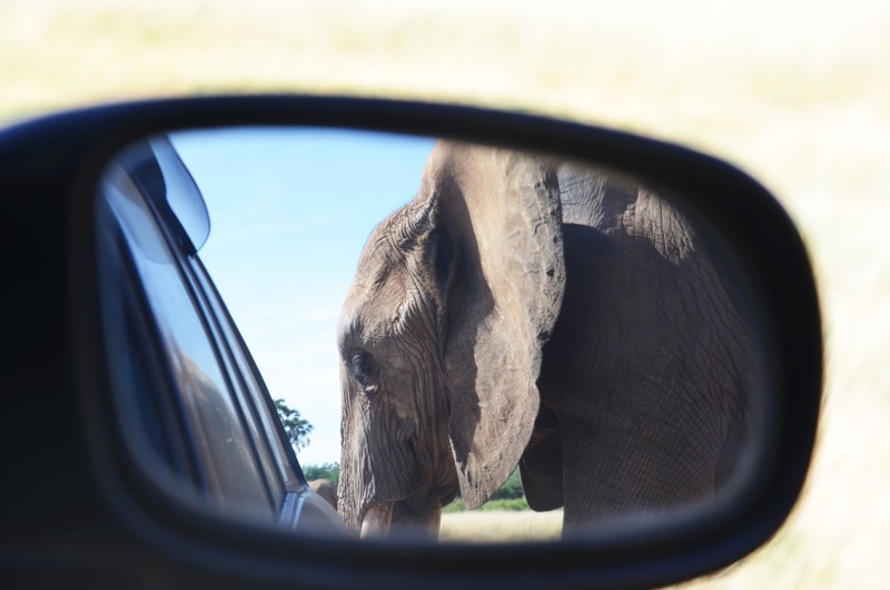 Ist es sicher, in Kenia Auto zu fahren?