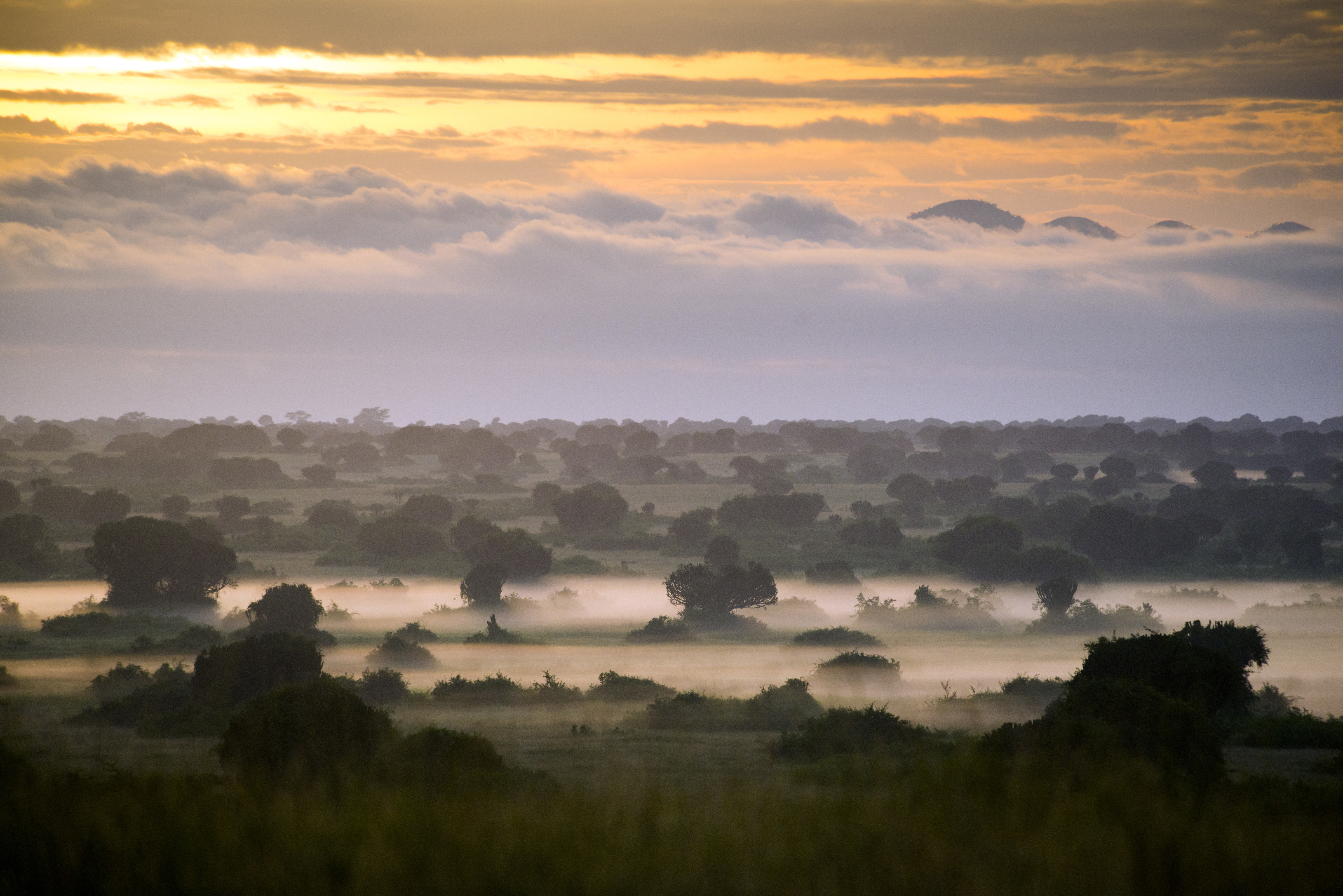 Queen Elizabeth National Park