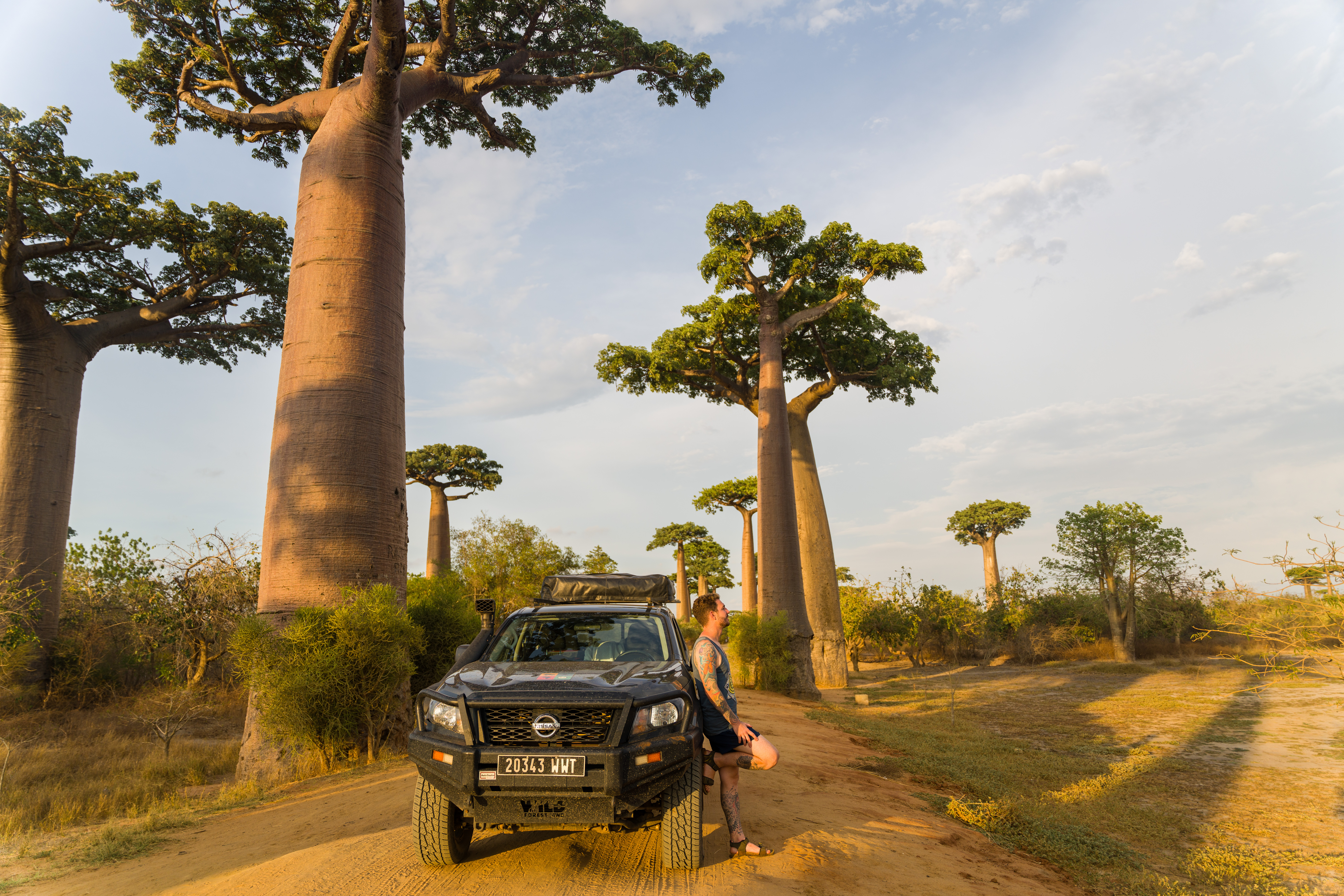 Where to see baobab trees in Madagascar | Travel Guide