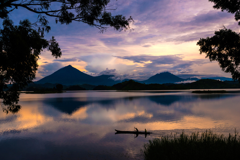 Sites de trekking avec des gorilles en Ouganda