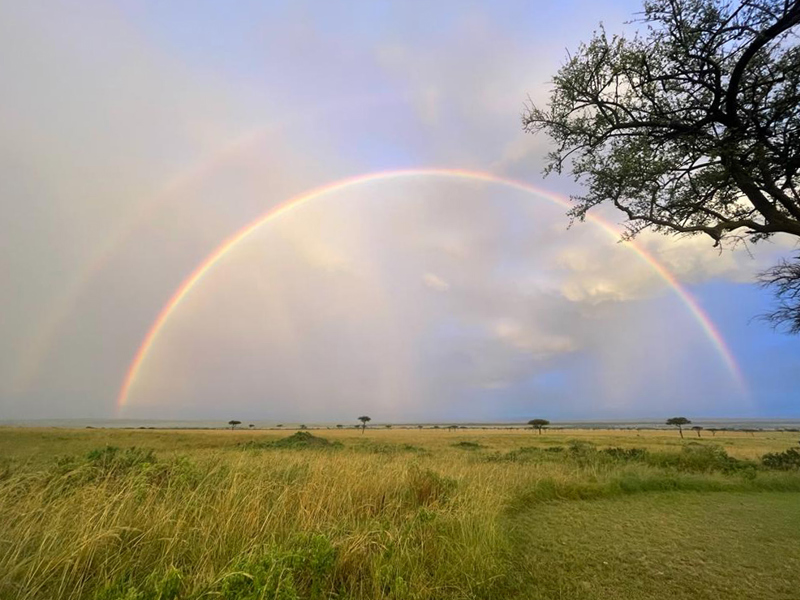 La meilleure période pour visiter le Kenya